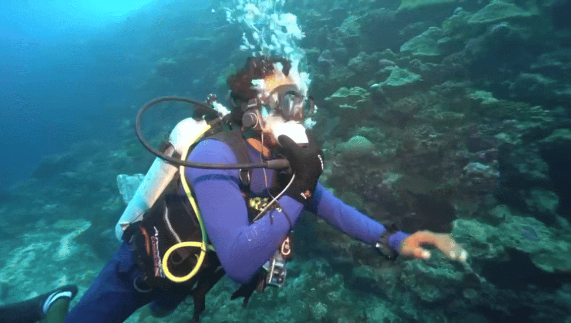 Global Voices, Deeper Insights: How Experts Are Redefining the Way We Use DIVINTOK Gear